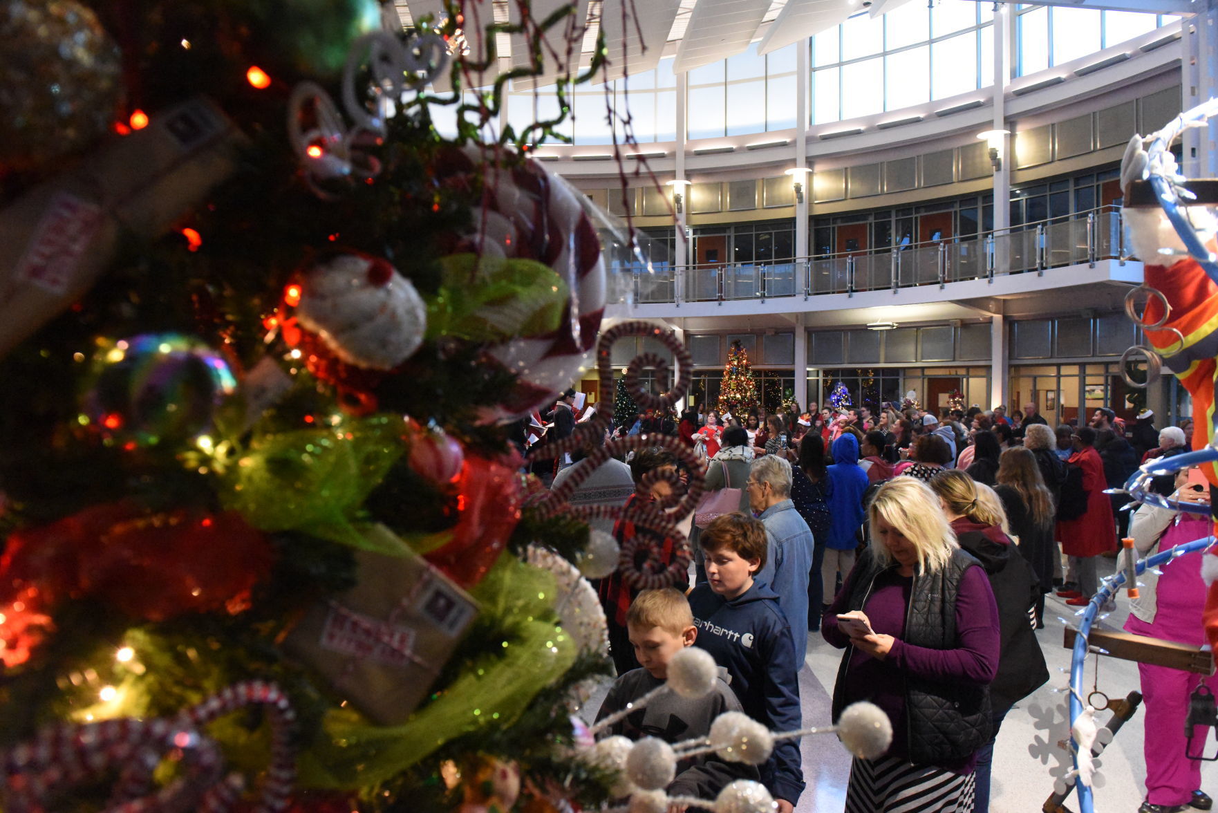 Decorating the Trees for a Cause